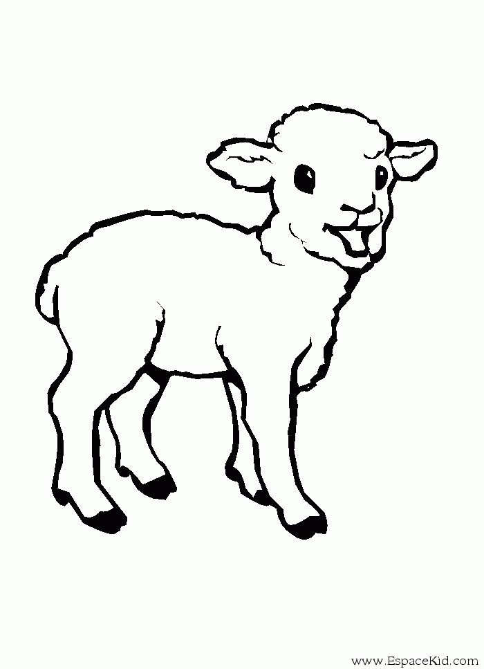 ぬりえページ: 子羊 (動物) #175 - 無料の印刷可能なぬりえページ