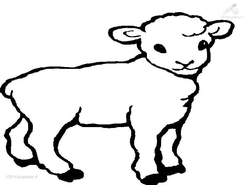 ぬりえページ: 子羊 (動物) #177 - 無料の印刷可能なぬりえページ
