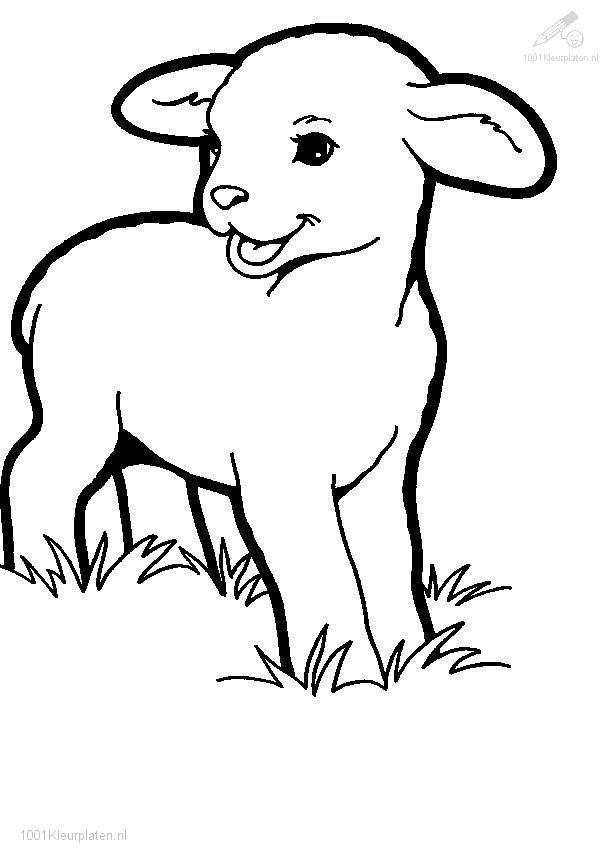 ぬりえページ: 子羊 (動物) #178 - 無料の印刷可能なぬりえページ