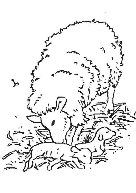 ぬりえページ: 子羊 (動物) #192 - 無料の印刷可能なぬりえページ