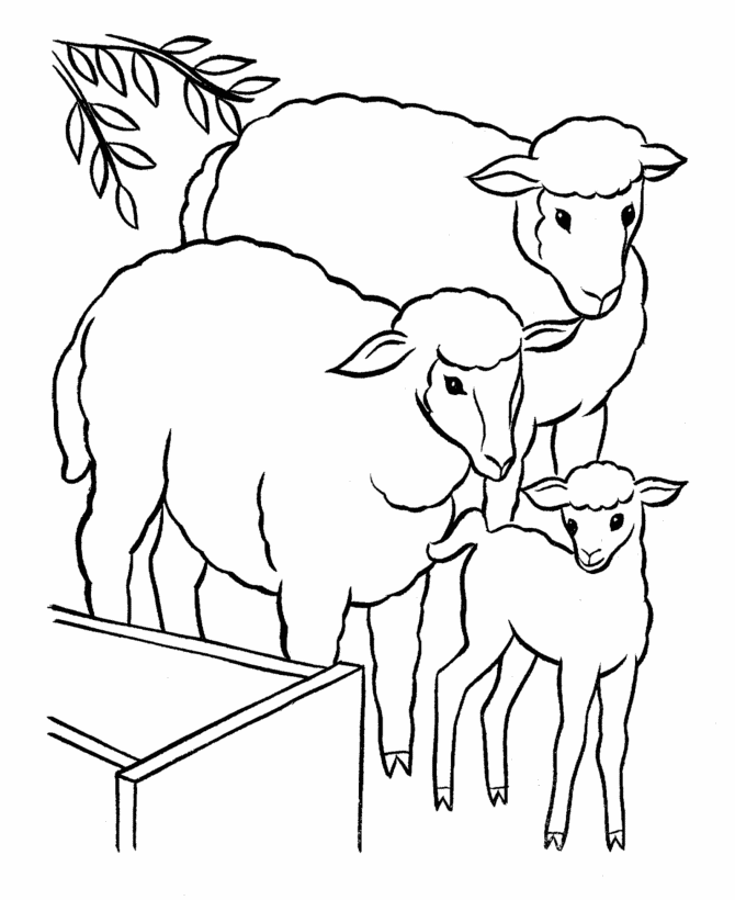 ぬりえページ: 子羊 (動物) #212 - 無料の印刷可能なぬりえページ