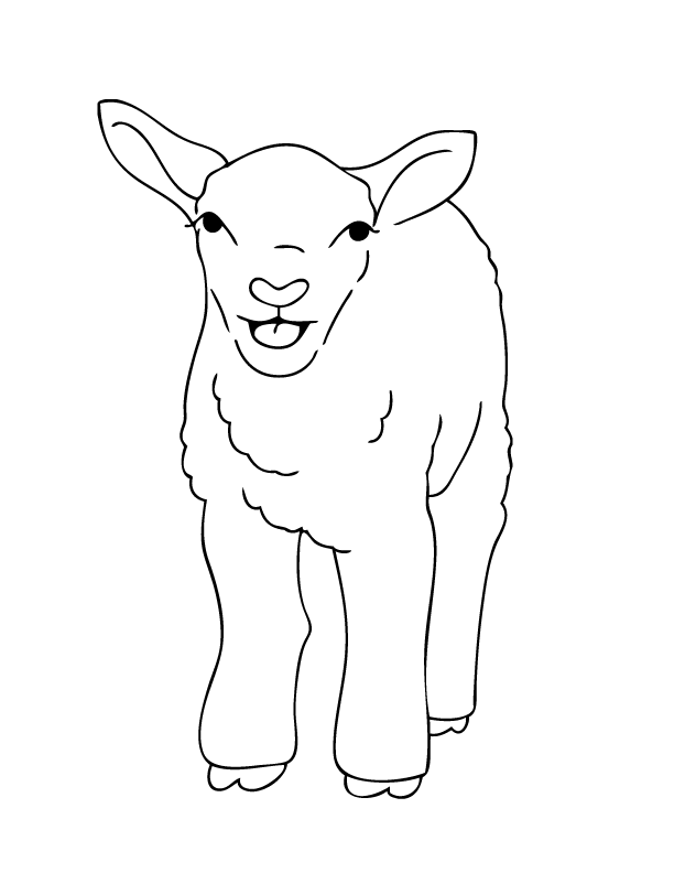 ぬりえページ: 子羊 (動物) #216 - 無料の印刷可能なぬりえページ