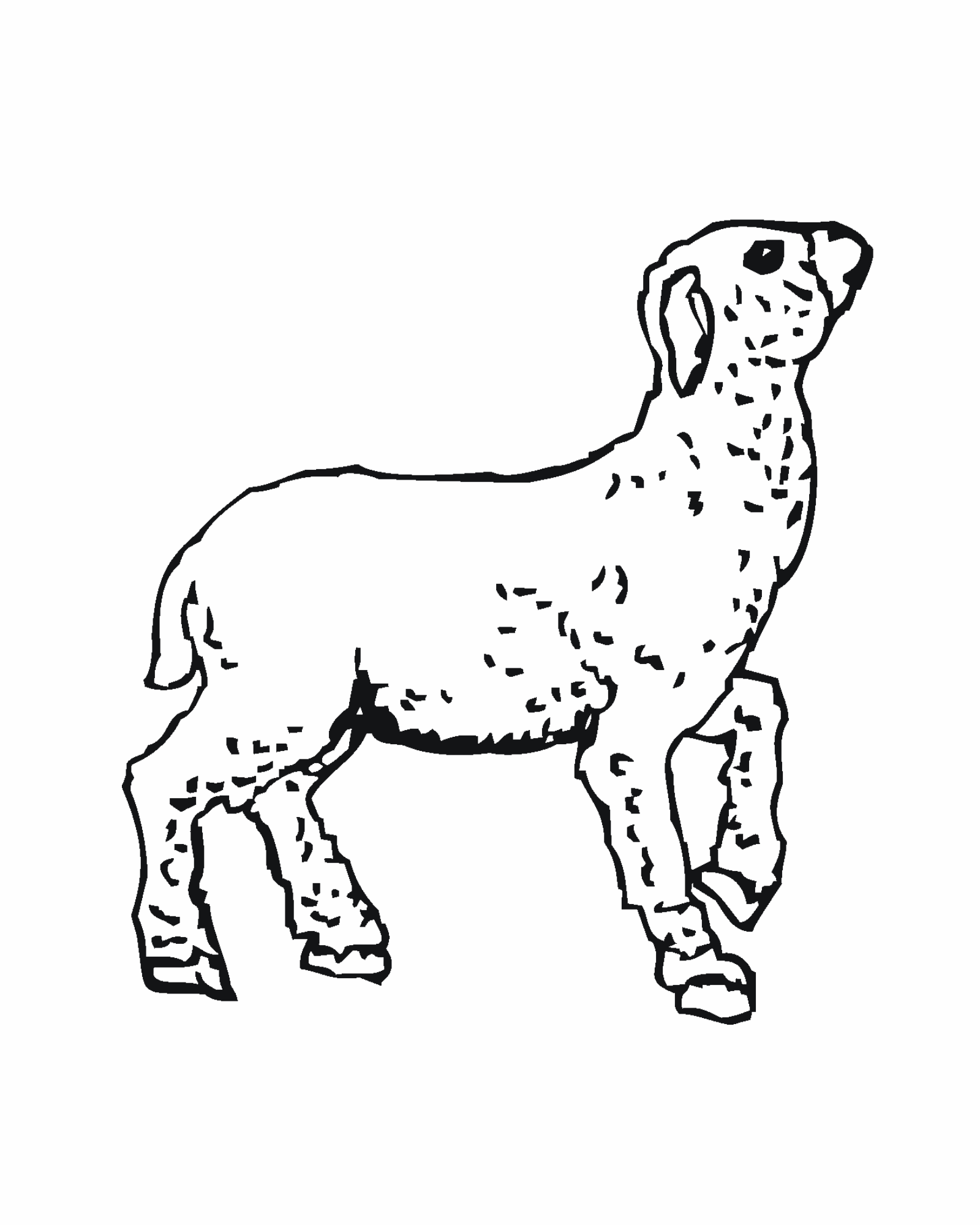 ぬりえページ: 子羊 (動物) #217 - 無料の印刷可能なぬりえページ
