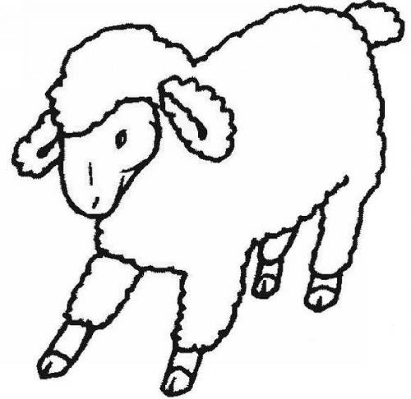 ぬりえページ: 子羊 (動物) #233 - 無料の印刷可能なぬりえページ