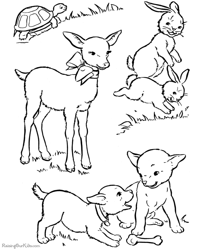 ぬりえページ: 子羊 (動物) #262 - 無料の印刷可能なぬりえページ