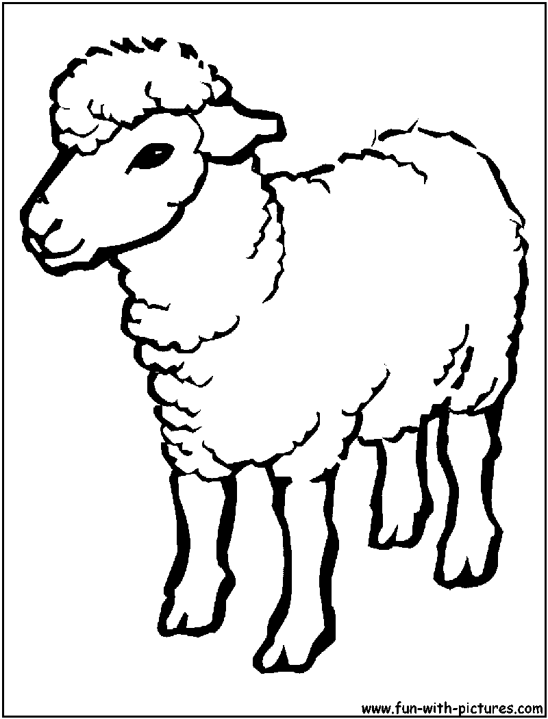 ぬりえページ: 子羊 (動物) #272 - 無料の印刷可能なぬりえページ