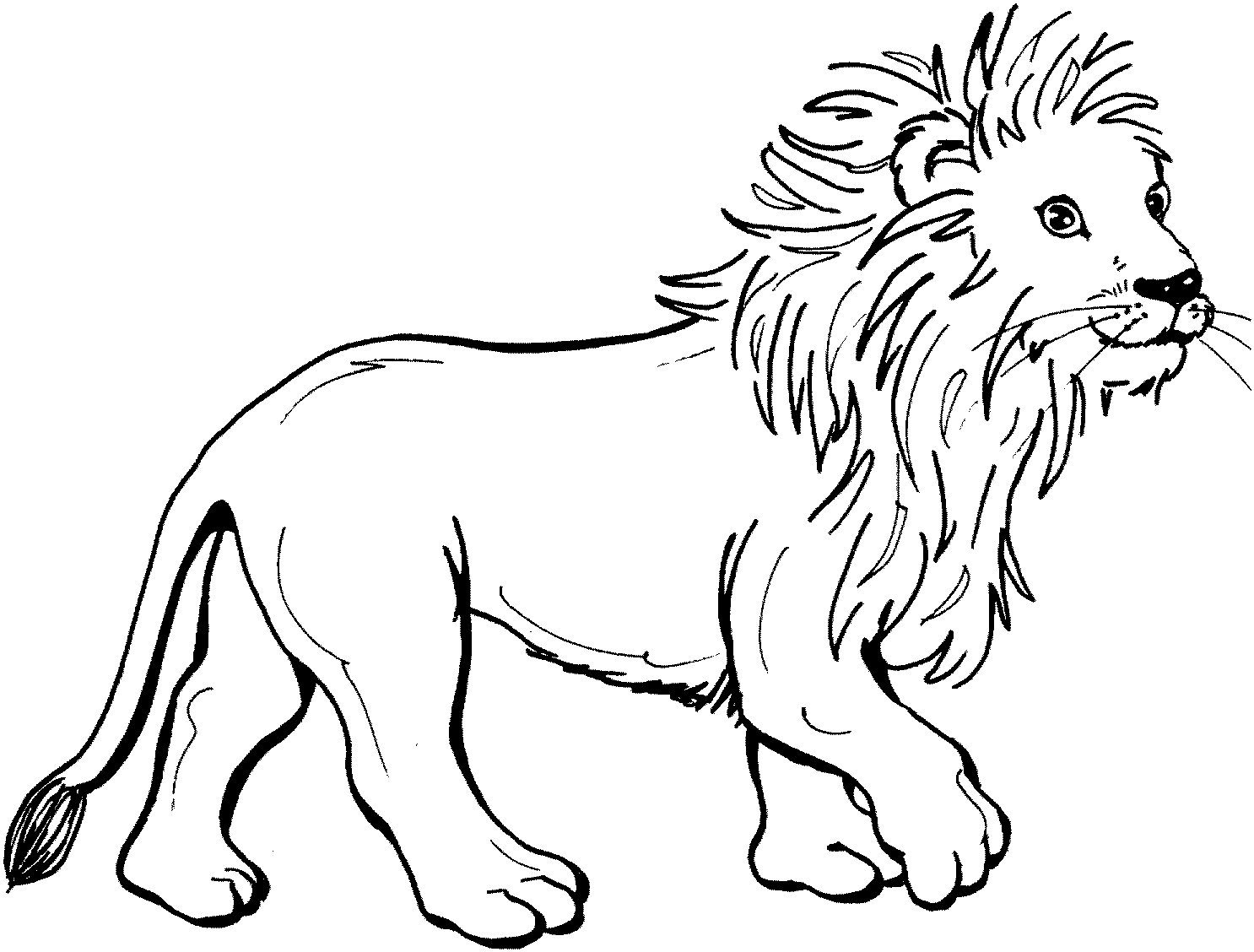 ぬりえページ: ライオン (動物) #10240 - 無料の印刷可能なぬりえページ