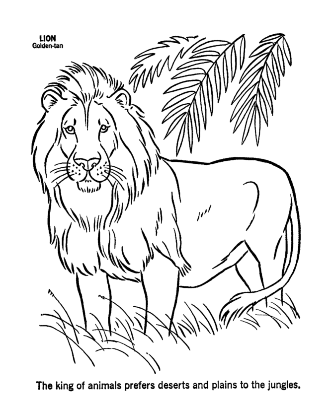 ぬりえページ: ライオン (動物) #10252 - 無料の印刷可能なぬりえページ