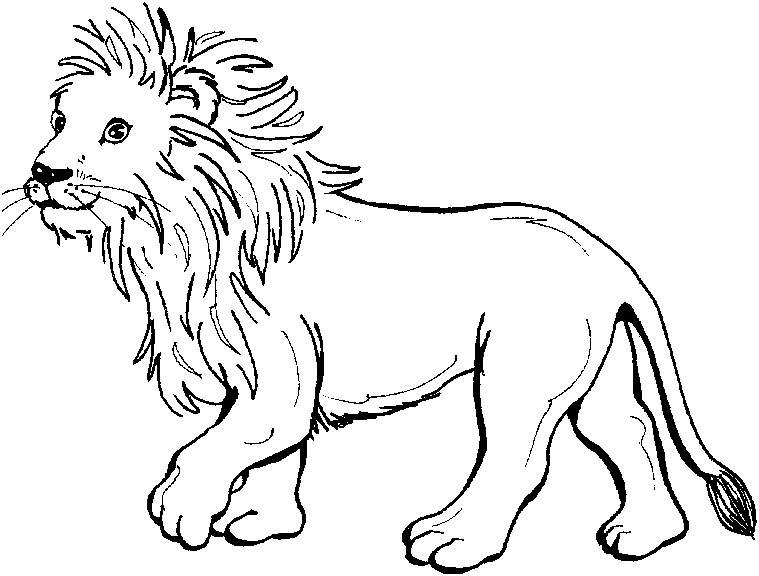 ぬりえページ: ライオン (動物) #10267 - 無料の印刷可能なぬりえページ