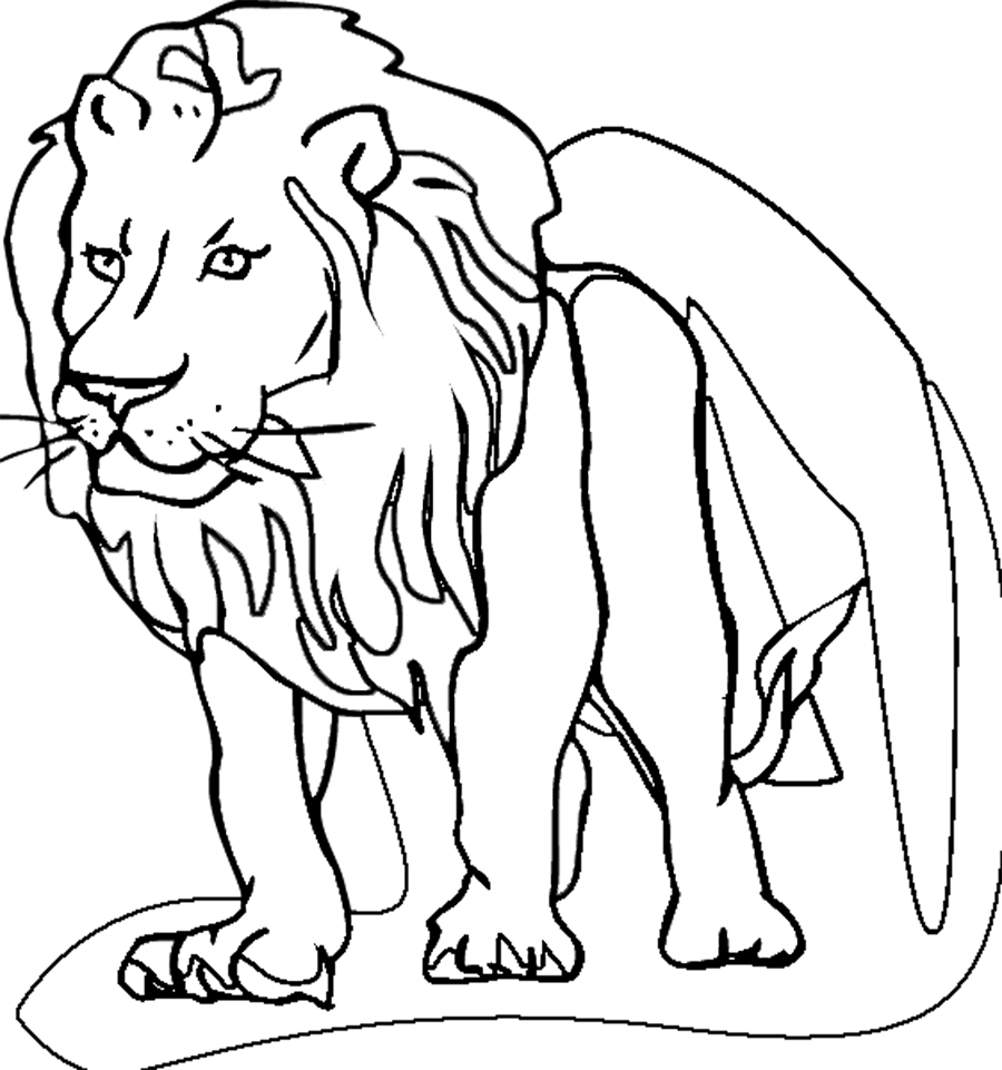 ぬりえページ: ライオン (動物) #10279 - 無料の印刷可能なぬりえページ