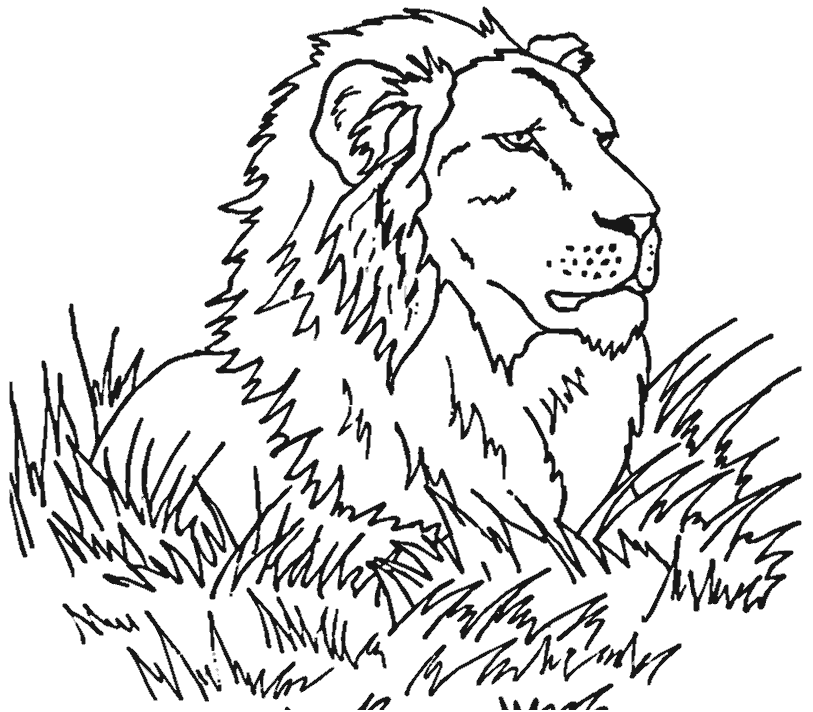 ぬりえページ: ライオン (動物) #10349 - 無料の印刷可能なぬりえページ