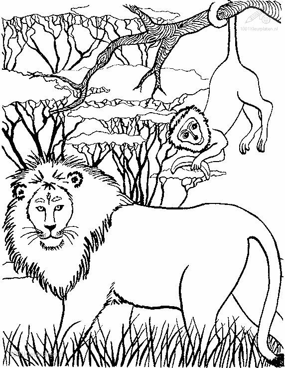 ぬりえページ: ライオン (動物) #10368 - 無料の印刷可能なぬりえページ