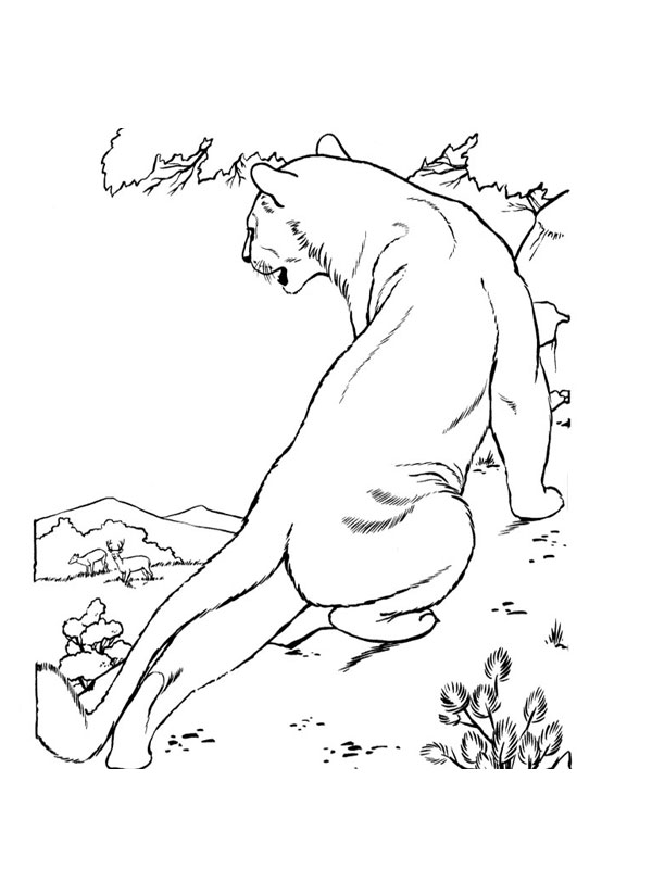 ぬりえページ: ライオン (動物) #10384 - 無料の印刷可能なぬりえページ