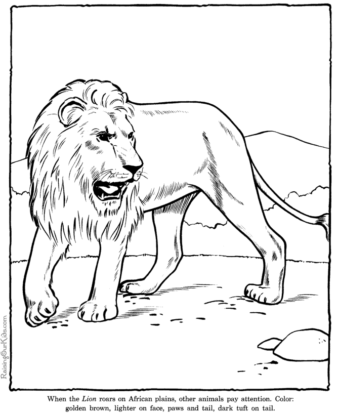 ぬりえページ: ライオン (動物) #10399 - 無料の印刷可能なぬりえページ