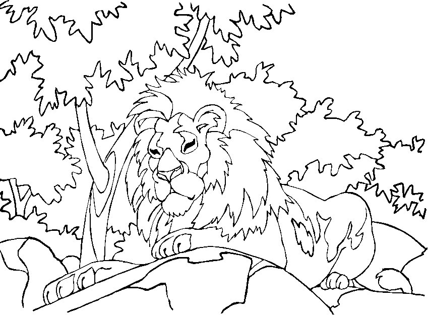 ぬりえページ: ライオン (動物) #10418 - 無料の印刷可能なぬりえページ