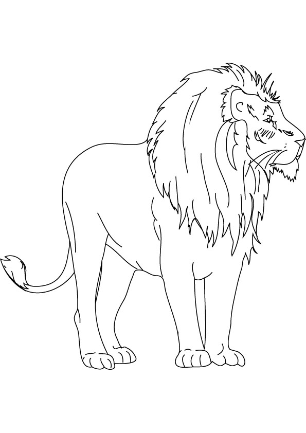 ぬりえページ: ライオン (動物) #10437 - 無料の印刷可能なぬりえページ