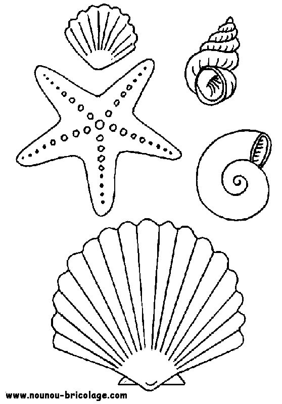 ぬりえページ: 海洋生物 (動物) #21987 - 無料の印刷可能なぬりえページ