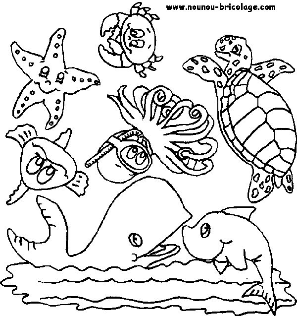 ぬりえページ: 海洋生物 (動物) #22007 - 無料の印刷可能なぬりえページ
