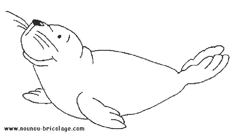 ぬりえページ: 海洋生物 (動物) #22035 - 無料の印刷可能なぬりえページ