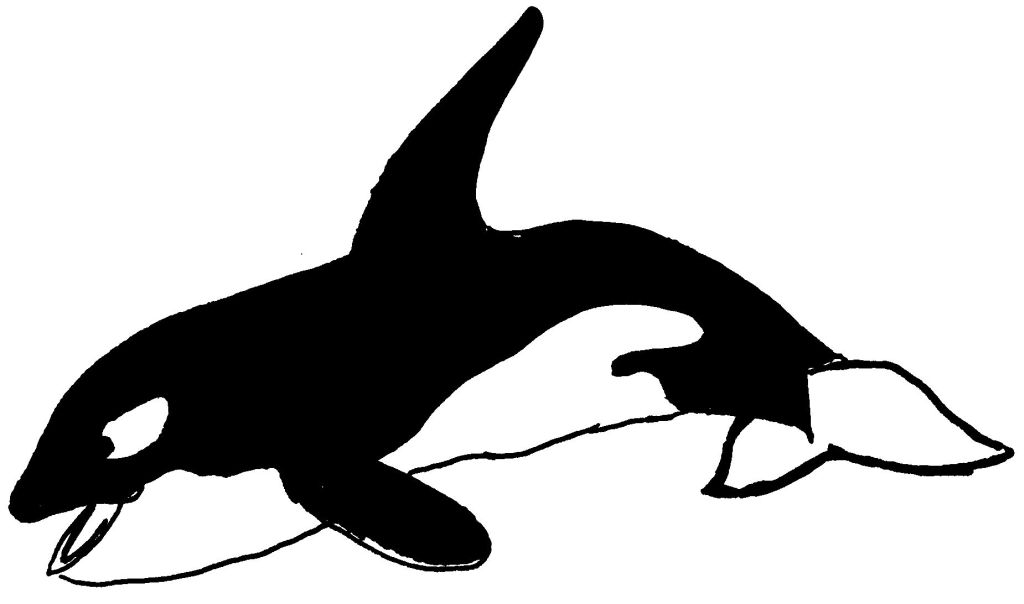 ぬりえページ: 海洋生物 (動物) #22084 - 無料の印刷可能なぬりえページ