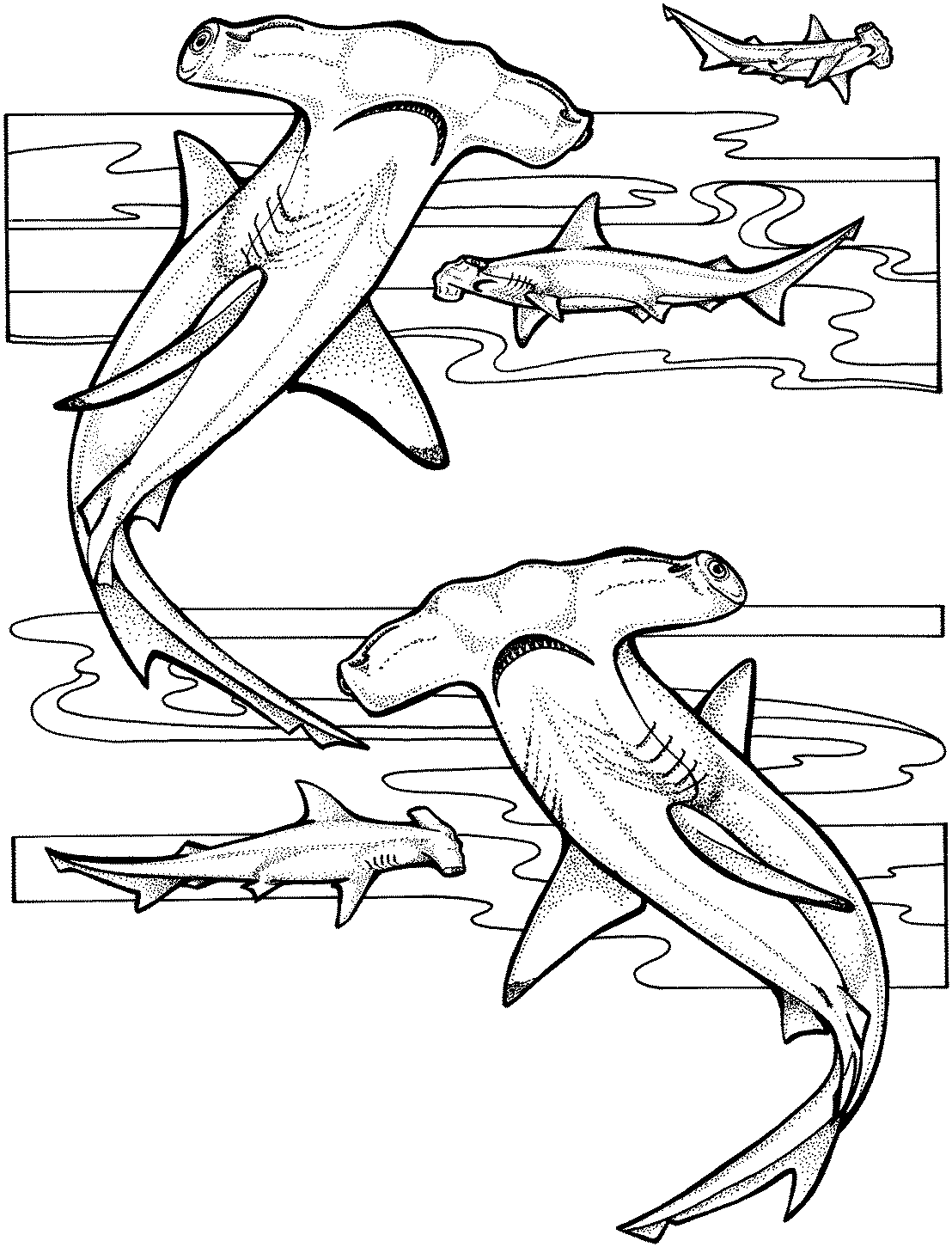 ぬりえページ: 海洋生物 (動物) #22089 - 無料の印刷可能なぬりえページ