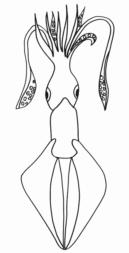 ぬりえページ: 海洋生物 (動物) #22111 - 無料の印刷可能なぬりえページ
