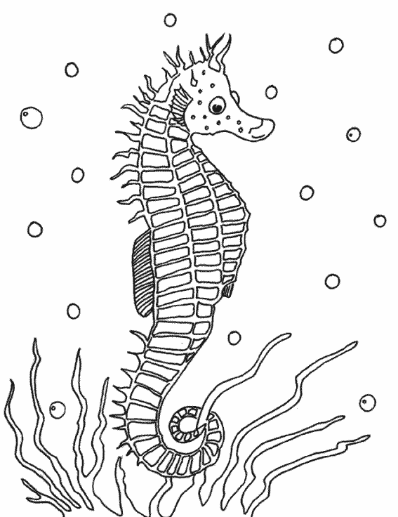 ぬりえページ: 海洋生物 (動物) #22122 - 無料の印刷可能なぬりえページ