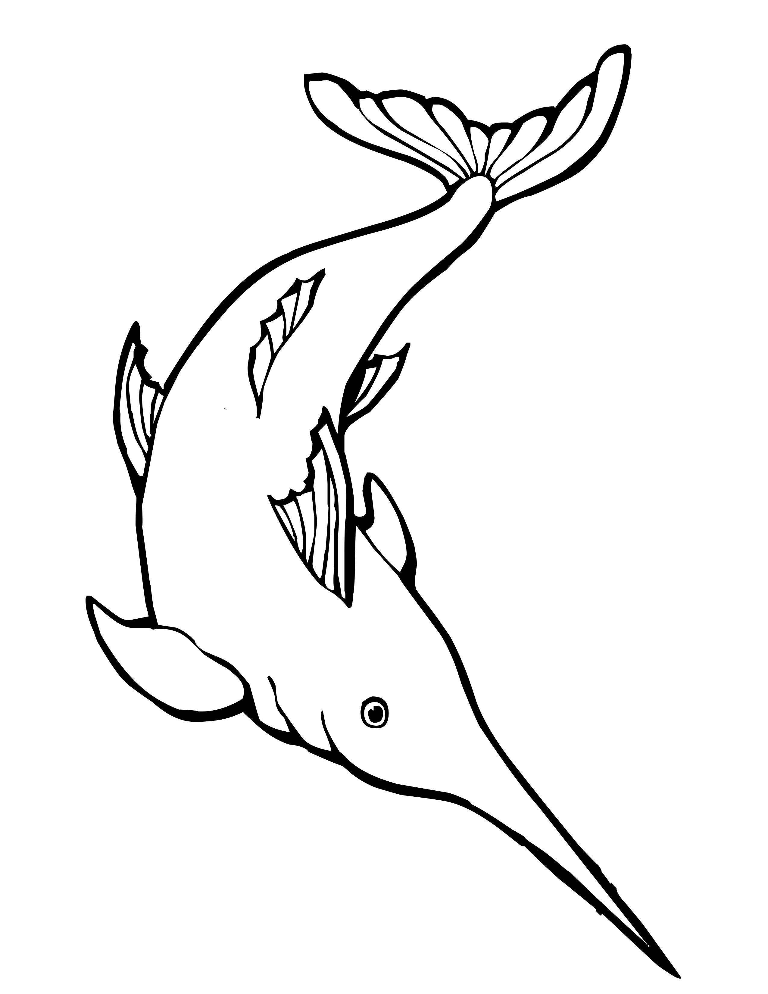 ぬりえページ: 海洋生物 (動物) #22124 - 無料の印刷可能なぬりえページ