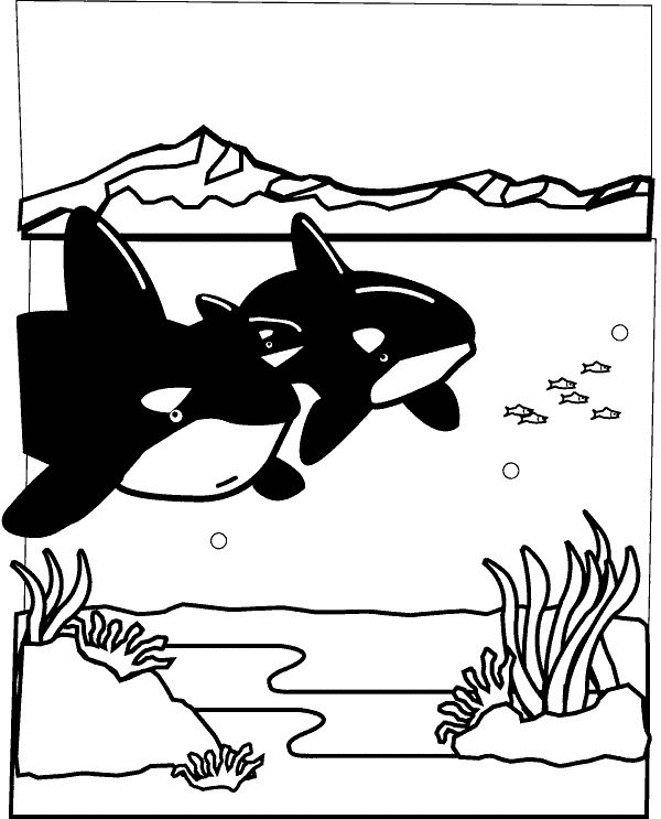 ぬりえページ: 海洋生物 (動物) #22133 - 無料の印刷可能なぬりえページ