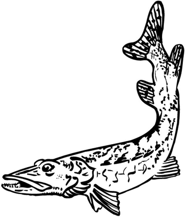 ぬりえページ: 海洋生物 (動物) #22141 - 無料の印刷可能なぬりえページ