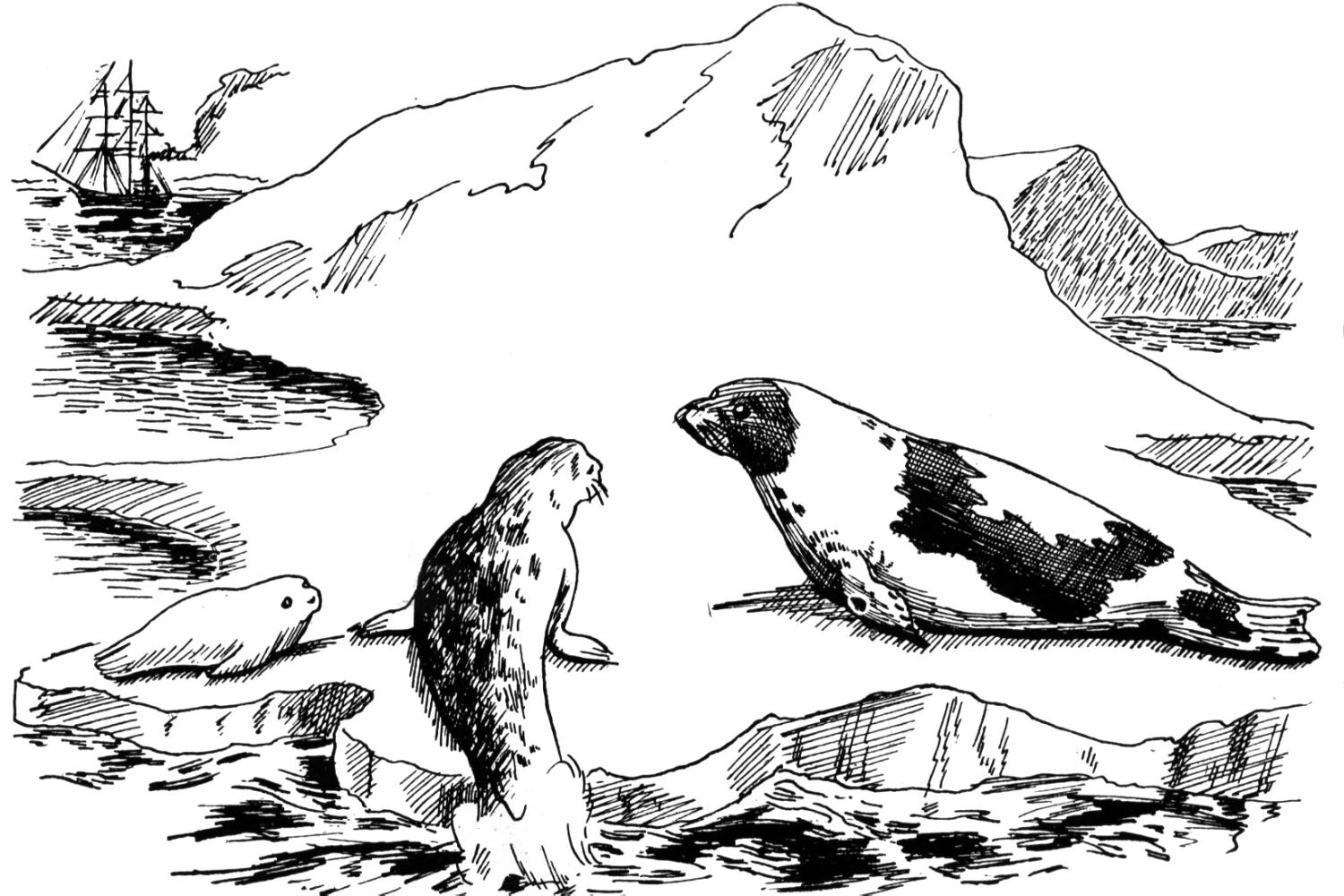 ぬりえページ: 海洋生物 (動物) #22142 - 無料の印刷可能なぬりえページ
