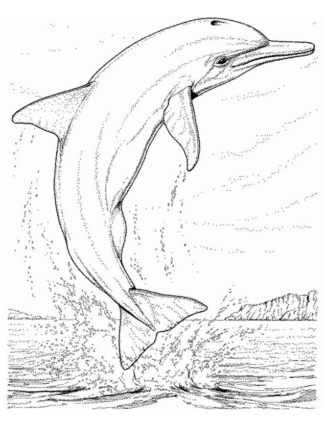 ぬりえページ: 海洋生物 (動物) #22143 - 無料の印刷可能なぬりえページ