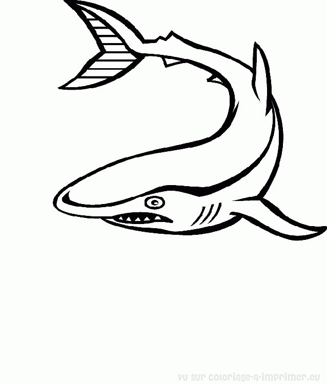 ぬりえページ: 海洋生物 (動物) #22144 - 無料の印刷可能なぬりえページ
