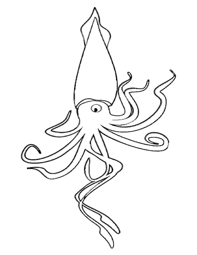 ぬりえページ: 海洋生物 (動物) #22152 - 無料の印刷可能なぬりえページ