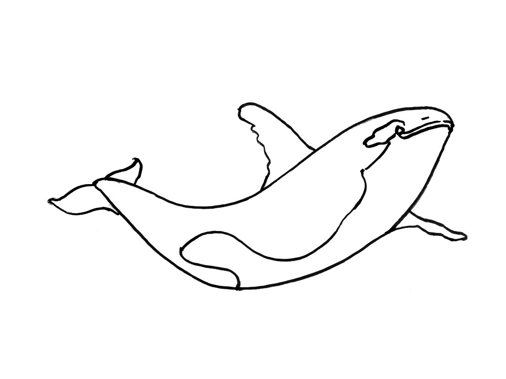 ぬりえページ: 海洋生物 (動物) #22188 - 無料の印刷可能なぬりえページ