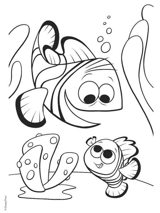 ぬりえページ: 海洋生物 (動物) #22201 - 無料の印刷可能なぬりえページ