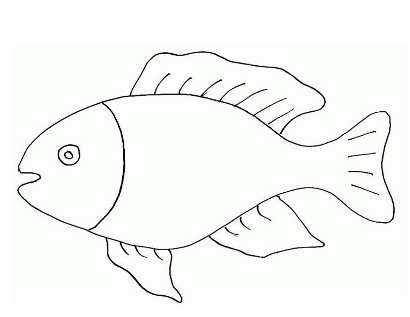 ぬりえページ: 海洋生物 (動物) #22216 - 無料の印刷可能なぬりえページ