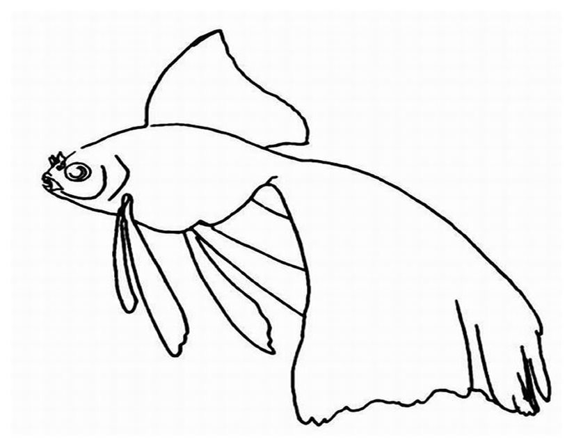 ぬりえページ: 海洋生物 (動物) #22264 - 無料の印刷可能なぬりえページ