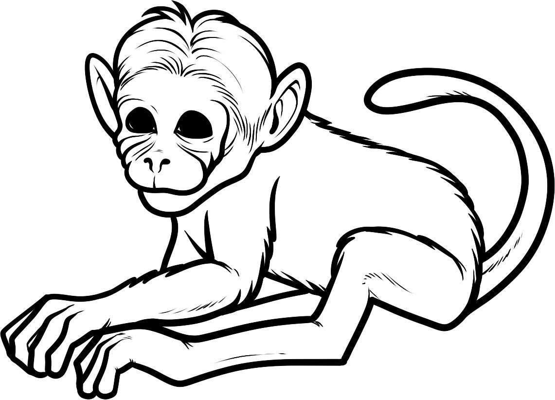 ぬりえページ: 猿 (動物) #14142 - 無料の印刷可能なぬりえページ