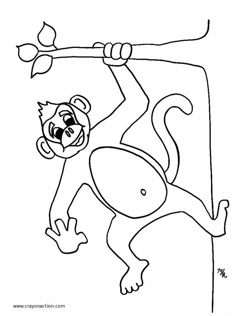 ぬりえページ: 猿 (動物) #14155 - 無料の印刷可能なぬりえページ