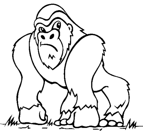 ぬりえページ: 猿 (動物) #14163 - 無料の印刷可能なぬりえページ
