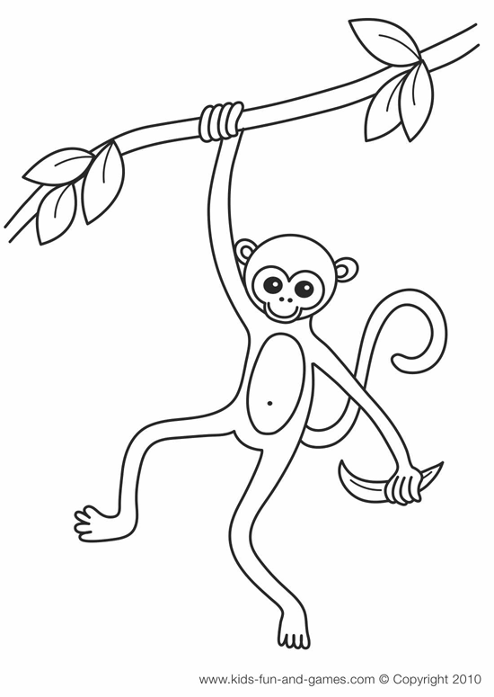 ぬりえページ: 猿 (動物) #14184 - 無料の印刷可能なぬりえページ
