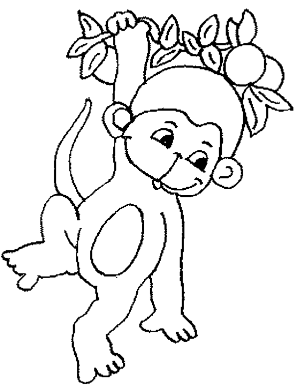 ぬりえページ: 猿 (動物) #14203 - 無料の印刷可能なぬりえページ