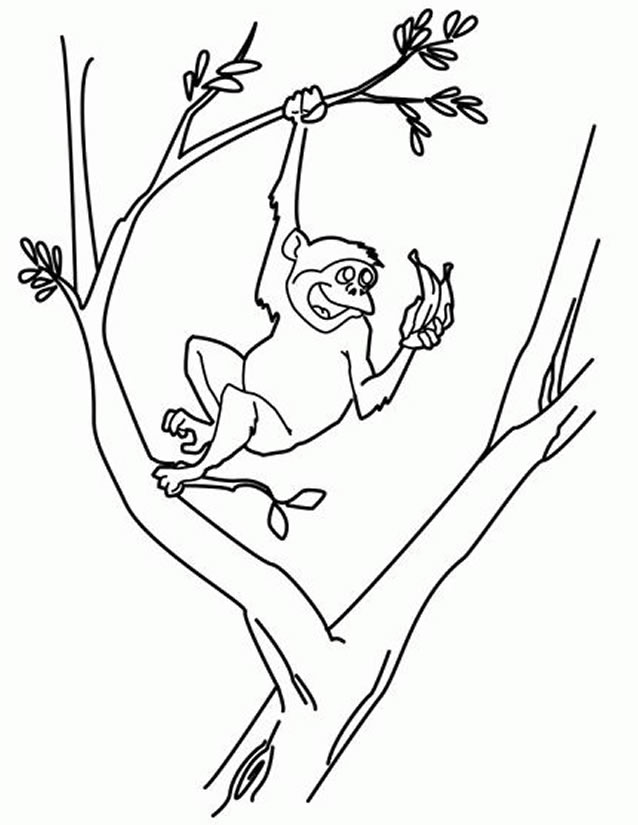 ぬりえページ: 猿 (動物) #14230 - 無料の印刷可能なぬりえページ