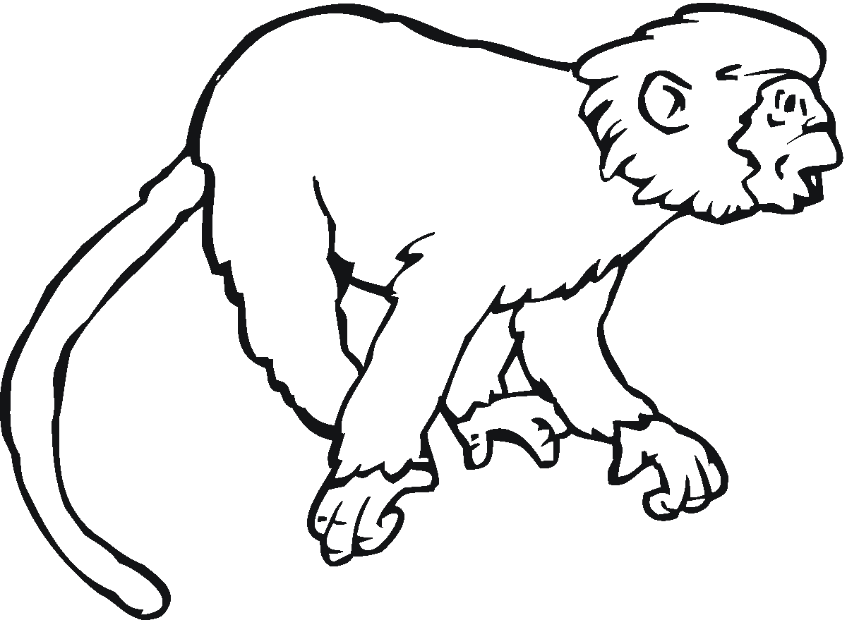 ぬりえページ: 猿 (動物) #14241 - 無料の印刷可能なぬりえページ