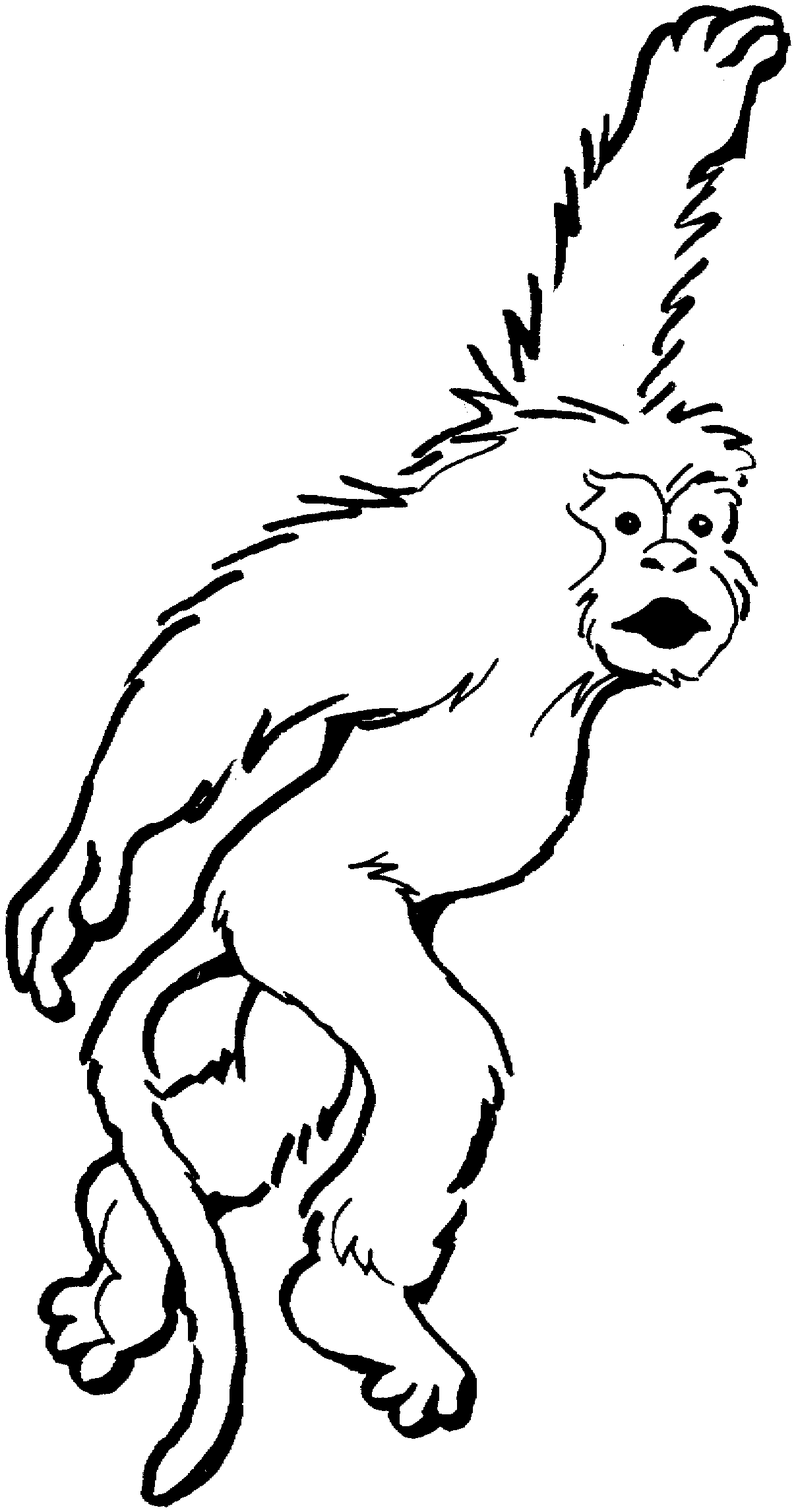 ぬりえページ: 猿 (動物) #14243 - 無料の印刷可能なぬりえページ