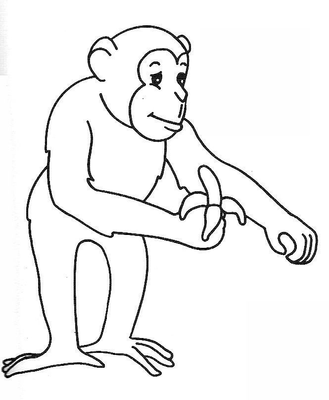 ぬりえページ: 猿 (動物) #14291 - 無料の印刷可能なぬりえページ