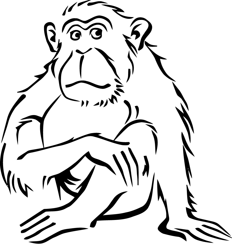 ぬりえページ: 猿 (動物) #14320 - 無料の印刷可能なぬりえページ