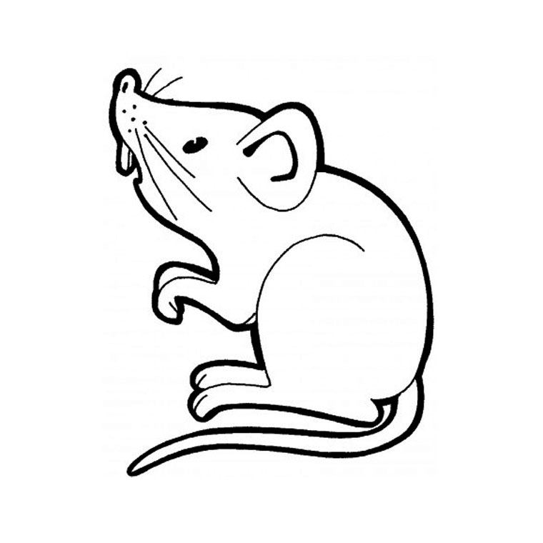 ぬりえページ: マウス (動物) #13937 - 無料の印刷可能なぬりえページ