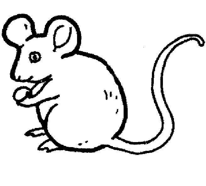 ぬりえページ: マウス (動物) #13938 - 無料の印刷可能なぬりえページ